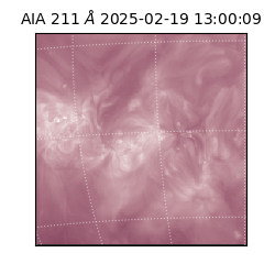 saia - 2025-02-19T13:00:09.626000