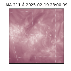 saia - 2025-02-19T23:00:09.626000