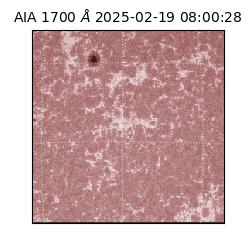 saia - 2025-02-19T08:00:28.717000