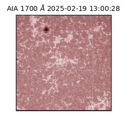 saia - 2025-02-19T13:00:28.729000