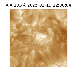 saia - 2025-02-19T12:00:04.843000