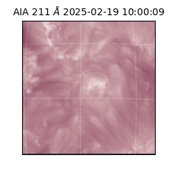 saia - 2025-02-19T10:00:09.630000