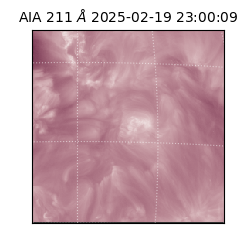 saia - 2025-02-19T23:00:09.626000