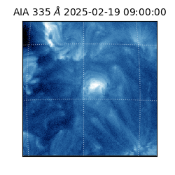 saia - 2025-02-19T09:00:00.625000