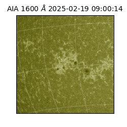 saia - 2025-02-19T09:00:14.126000