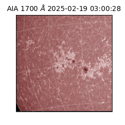 saia - 2025-02-19T03:00:28.720000