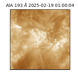 saia - 2025-02-19T01:00:04.843000