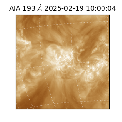 saia - 2025-02-19T10:00:04.843000