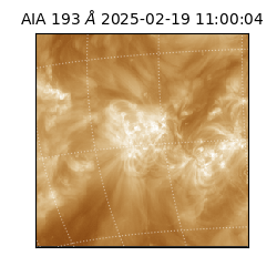 saia - 2025-02-19T11:00:04.843000