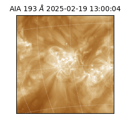 saia - 2025-02-19T13:00:04.843000