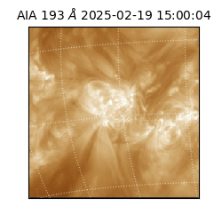 saia - 2025-02-19T15:00:04.843000