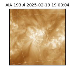 saia - 2025-02-19T19:00:04.846000