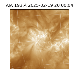 saia - 2025-02-19T20:00:04.846000