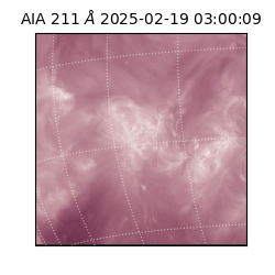 saia - 2025-02-19T03:00:09.629000