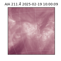 saia - 2025-02-19T10:00:09.630000