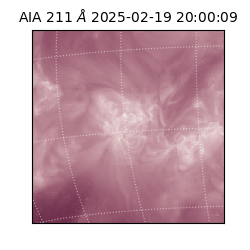 saia - 2025-02-19T20:00:09.630000