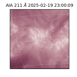 saia - 2025-02-19T23:00:09.626000