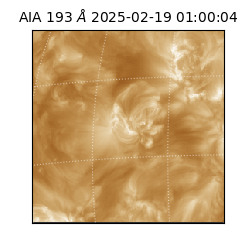 saia - 2025-02-19T01:00:04.843000