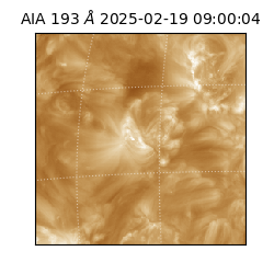 saia - 2025-02-19T09:00:04.843000