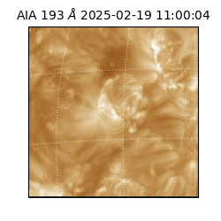 saia - 2025-02-19T11:00:04.843000