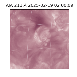 saia - 2025-02-19T02:00:09.632000