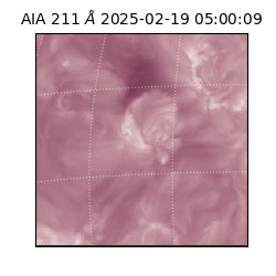 saia - 2025-02-19T05:00:09.626000