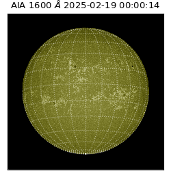 saia - 2025-02-19T00:00:14.129000