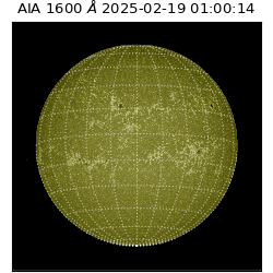 saia - 2025-02-19T01:00:14.126000