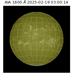 saia - 2025-02-19T03:00:14.125000