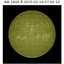 saia - 2025-02-19T07:00:14.126000
