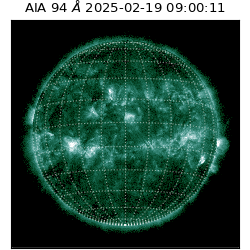 saia - 2025-02-19T09:00:11.122000
