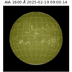 saia - 2025-02-19T09:00:14.126000