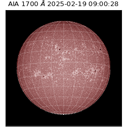 saia - 2025-02-19T09:00:28.717000