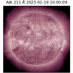 saia - 2025-02-19T10:00:09.630000