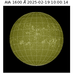 saia - 2025-02-19T10:00:14.125000