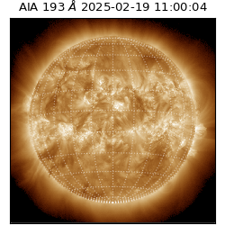 saia - 2025-02-19T11:00:04.843000