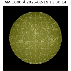 saia - 2025-02-19T11:00:14.126000