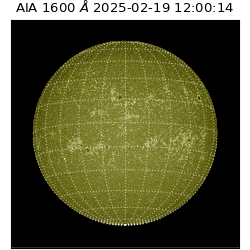 saia - 2025-02-19T12:00:14.126000