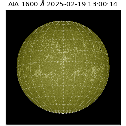 saia - 2025-02-19T13:00:14.125000