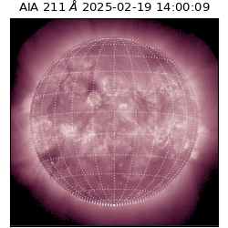 saia - 2025-02-19T14:00:09.626000