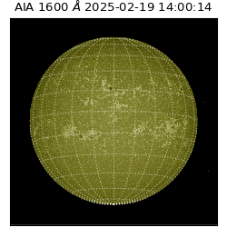 saia - 2025-02-19T14:00:14.125000