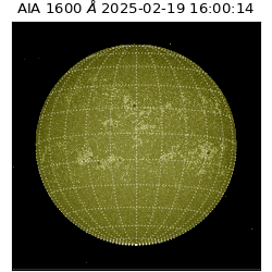 saia - 2025-02-19T16:00:14.126000