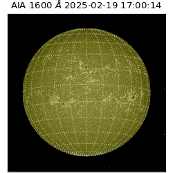saia - 2025-02-19T17:00:14.126000
