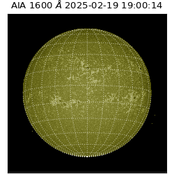 saia - 2025-02-19T19:00:14.129000