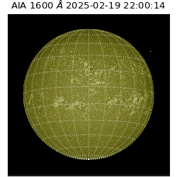 saia - 2025-02-19T22:00:14.126000