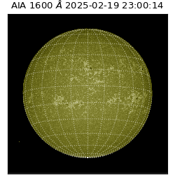 saia - 2025-02-19T23:00:14.129000