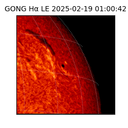 gong - 2025-02-19T01:00:42