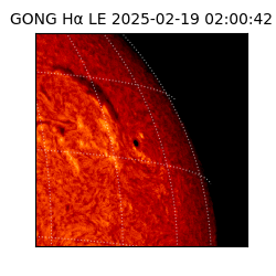 gong - 2025-02-19T02:00:42