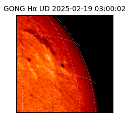 gong - 2025-02-19T03:00:02