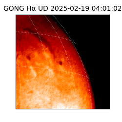 gong - 2025-02-19T04:01:02